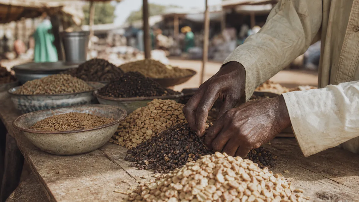 Tout savoir sur la ville de Wudil au Nigeria et son économie