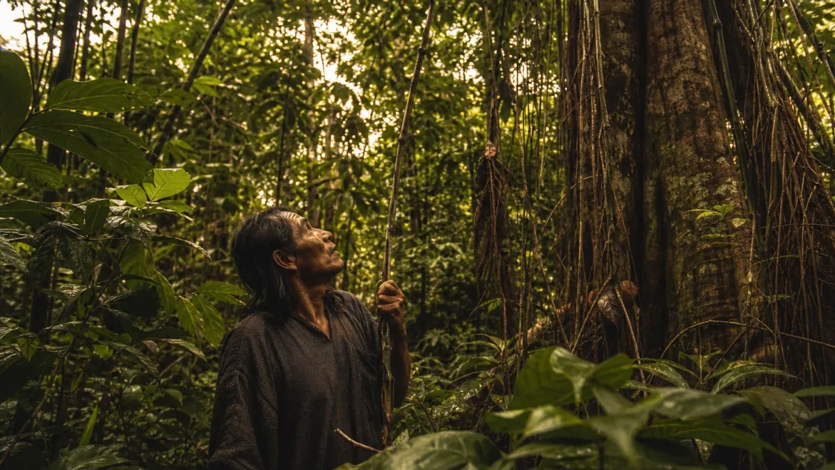 Faune abondante : les régions du monde les plus riches